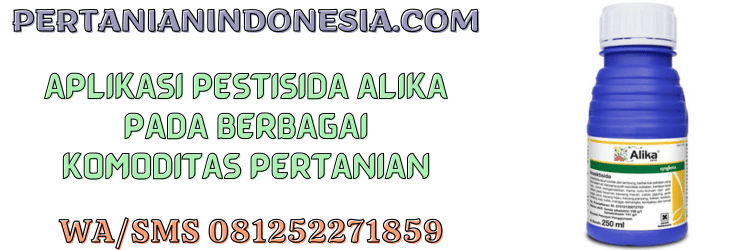 aplikasi,racun serangga,hama,serangga,pertanian indonesia